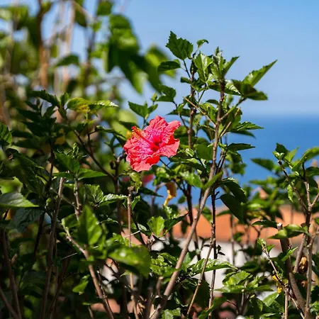 Holiday home Carmen *